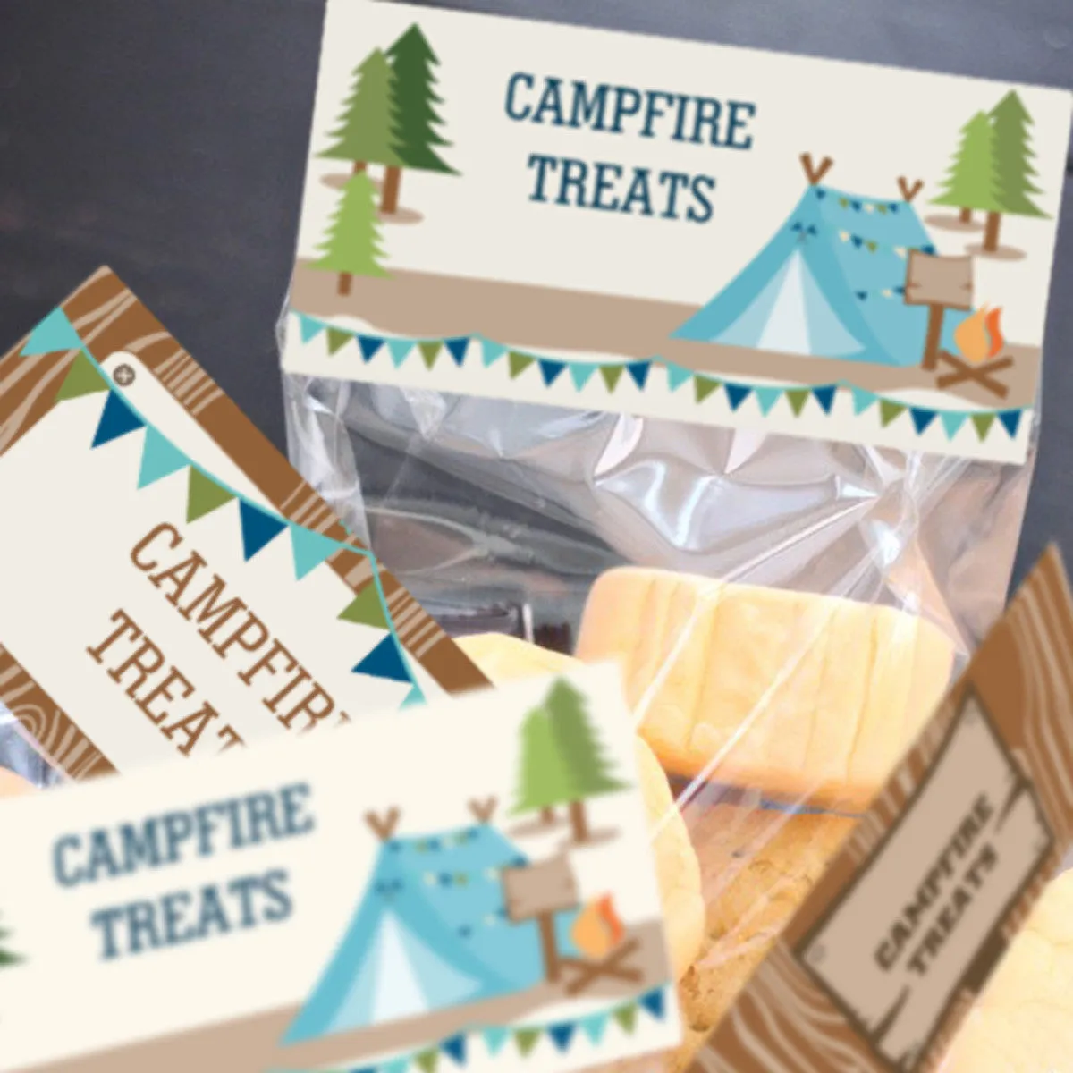 Camping Tent Birthday Party Treat bag Toppers | Boy 's Camping party