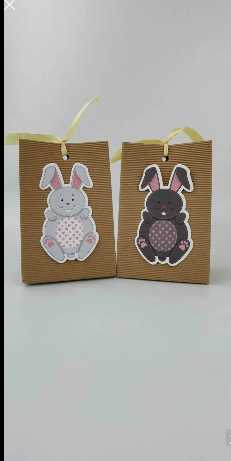 Easter Cookie gift bags x 12 pc