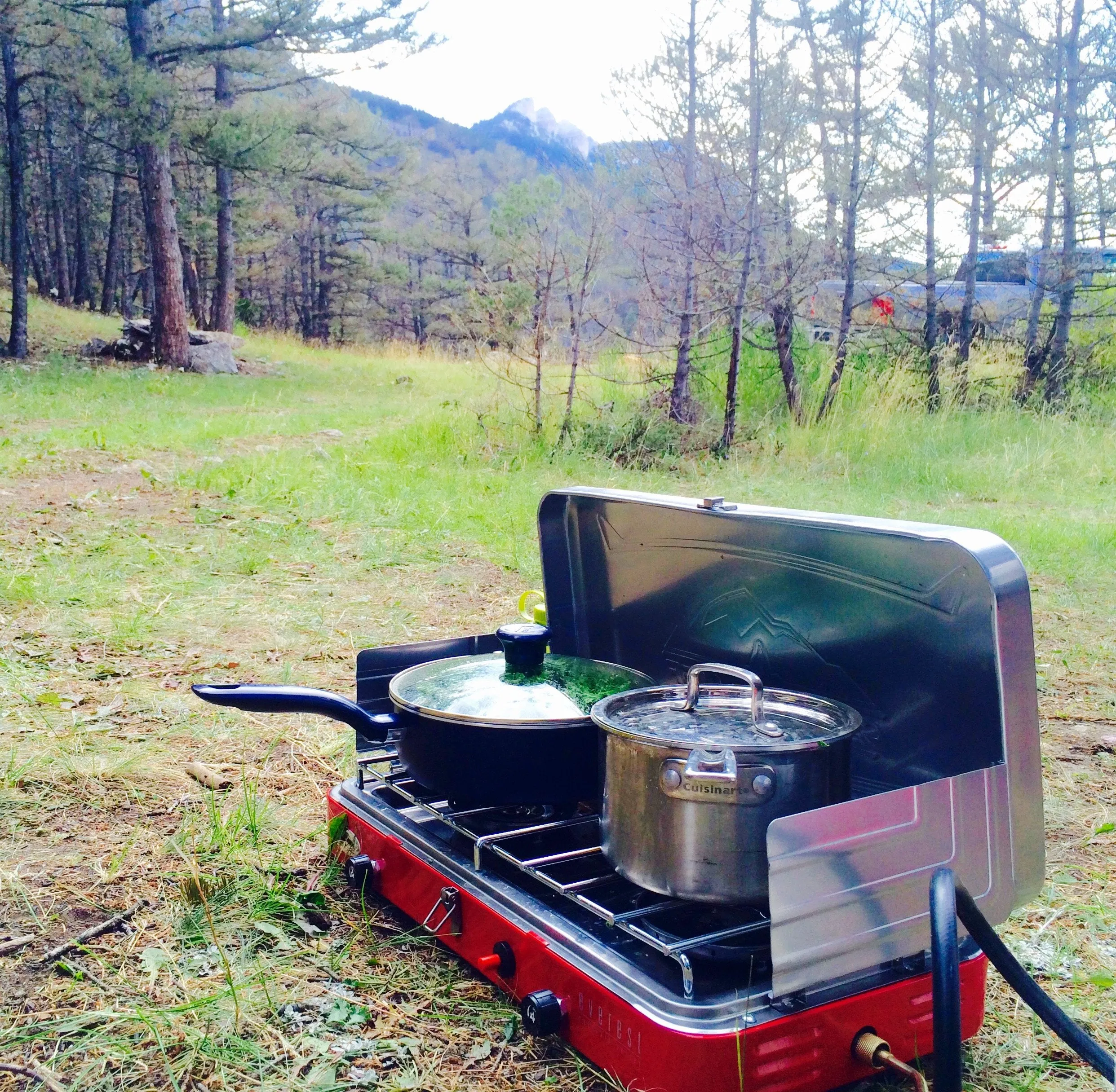 Everest 2 Burner Stove