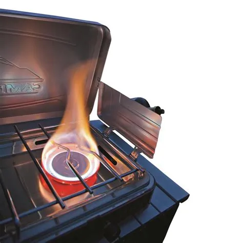 Everest 2 Burner Stove