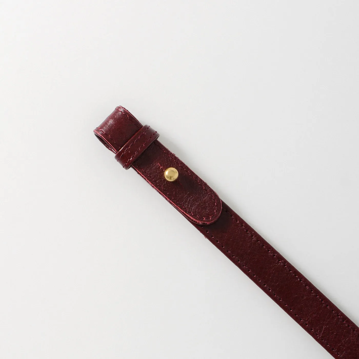 Mini Shoulder Strap