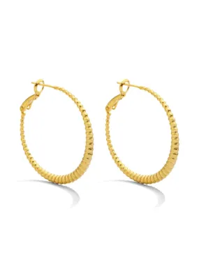 On-Trend Lever Back Hoops | Gold