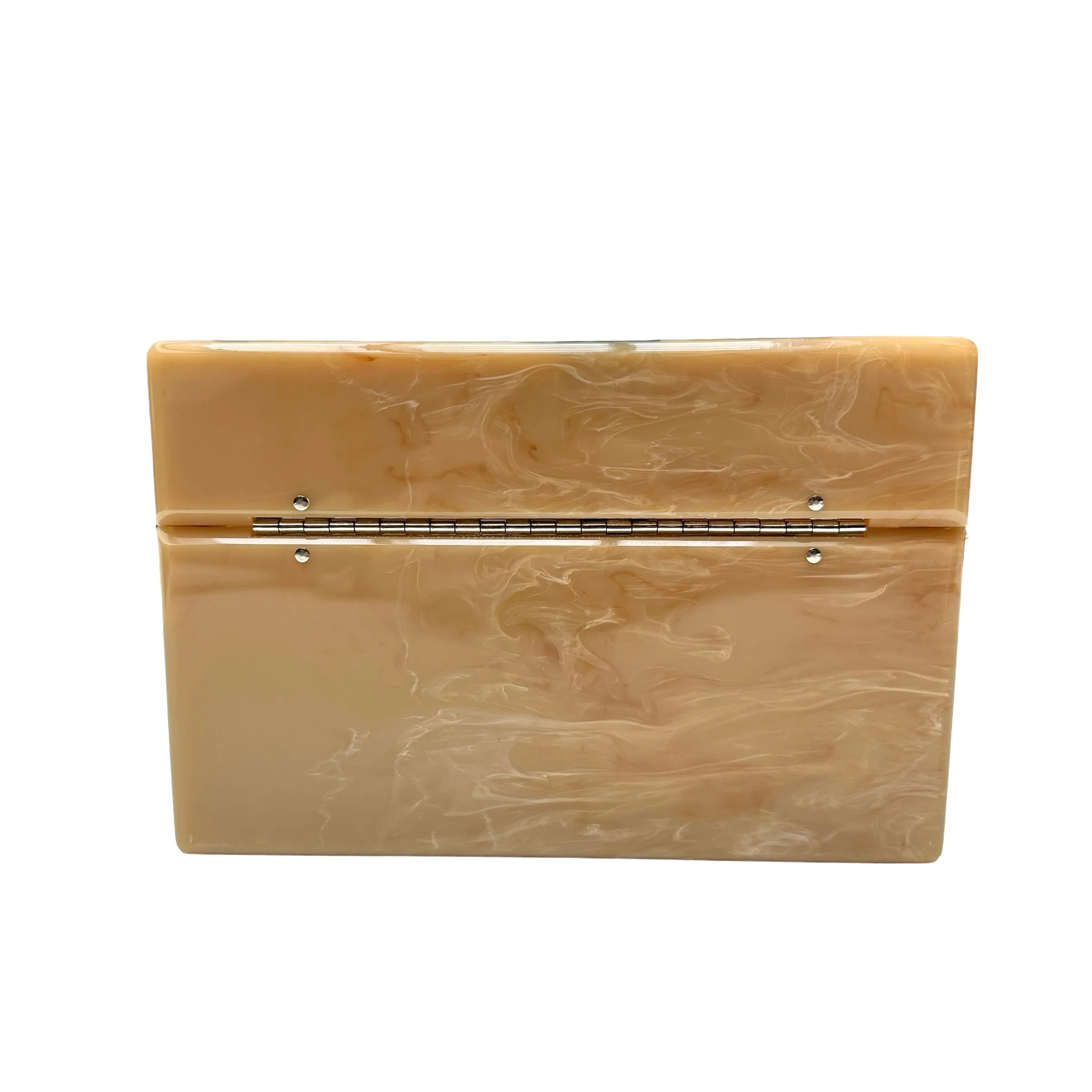 Plexiglass Crossbody Clutch